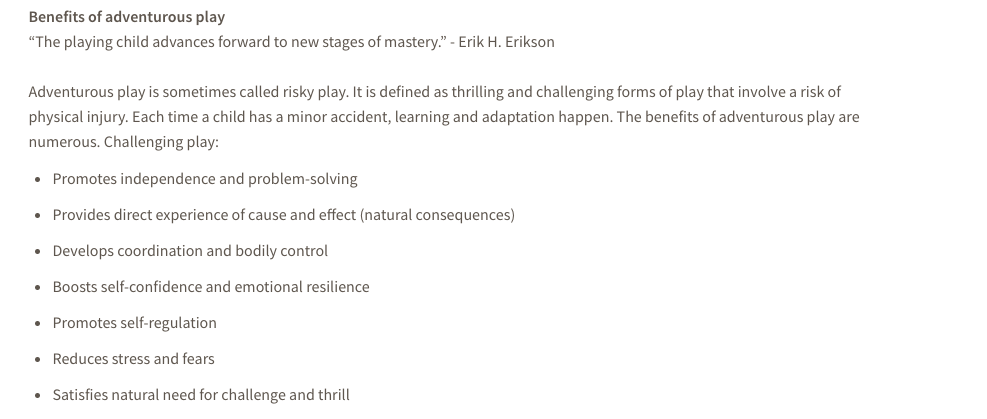 Screenshot 02: North Vancouver Recreation Centre. https://www.nvrc.ca/notices-events-blog/active-living-blog/importance-adventurous-play. Screenshot taken April 3, 2021 at 08:11