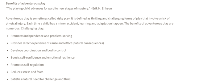 Screenshot 02: North Vancouver Recreation Centre. https://www.nvrc.ca/notices-events-blog/active-living-blog/importance-adventurous-play. Screenshot taken April 3, 2021 at 08:11